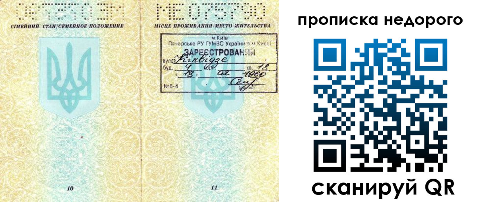 прописка законно в Дальнегорске