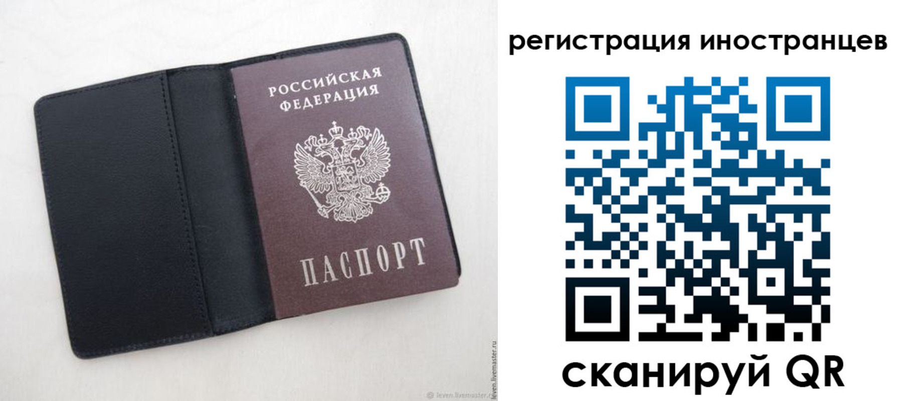 прописка ребенка в Дальнегорске